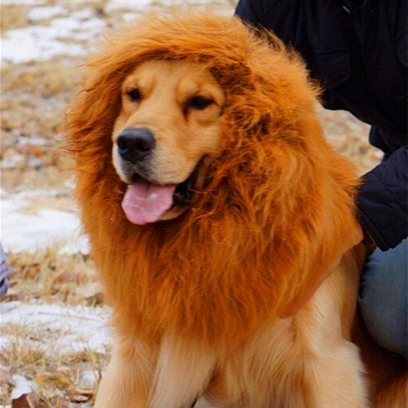 Lion Mane Wig for Large Dogs Exclusive Cosplay for pets