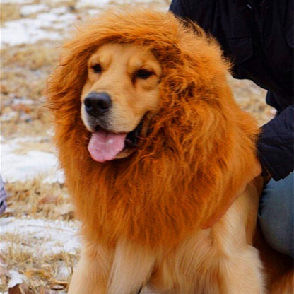 Lion Mane Wig for Large Dogs Exclusive Cosplay for pets